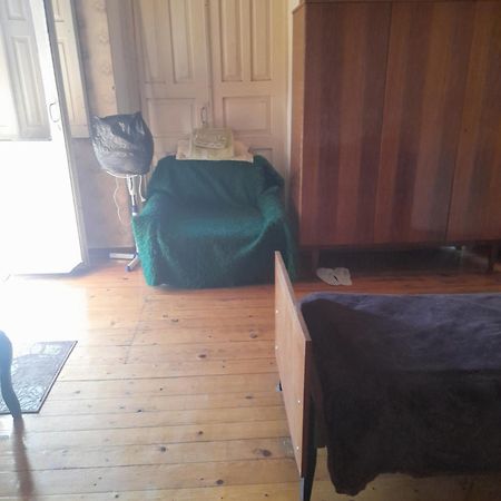 Levani'S Guesthouse Zugdidi Zewnętrze zdjęcie